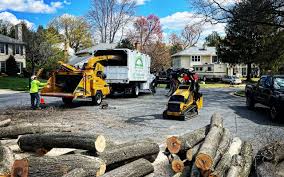 Best Lawn Watering Services  in Smithsburg, MD