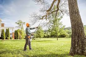 Best Firewood Processing and Delivery  in Smithsburg, MD