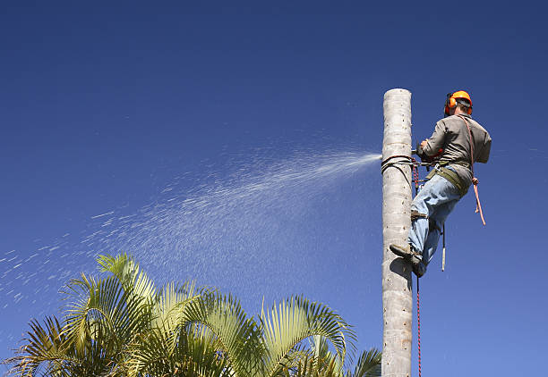 Best Aeration Services  in Smithsburg, MD
