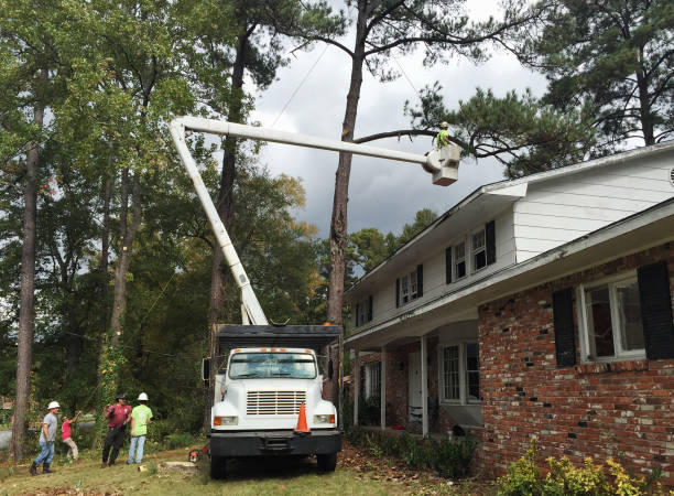 Lawn Irrigation Installation and Maintenance in Smithsburg, MD