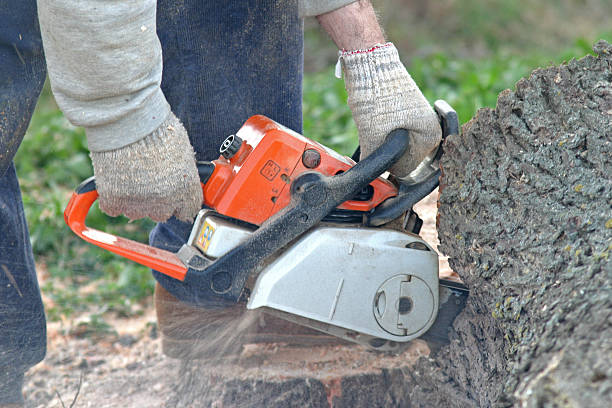 Best Arborist Consultation Services  in Smithsburg, MD